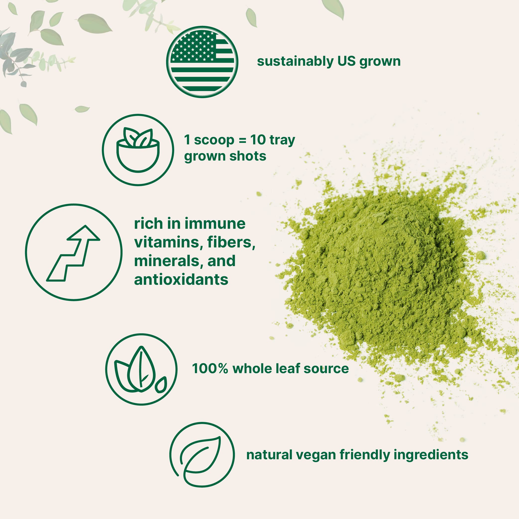 Micro Ingredients Sustainably US Grown, Organic Wheat Grass Powder Micro Ingredients