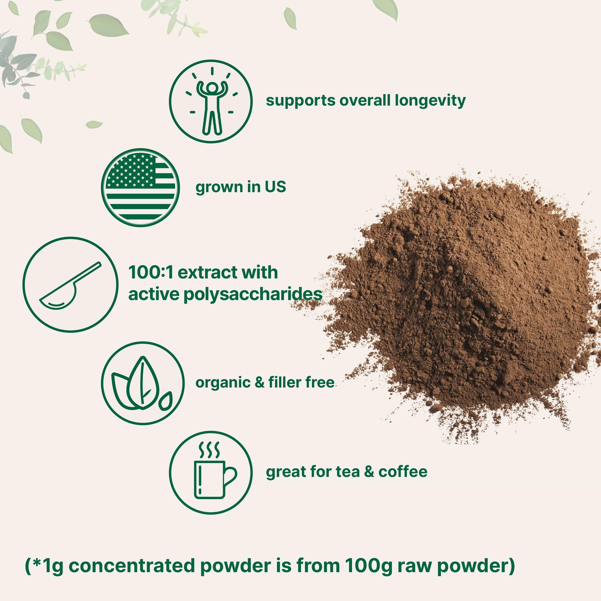 Micro Ingredients Sustainably US Grown, Organic Reishi Mushroom Powder, 8 Ounce Micro Ingredients