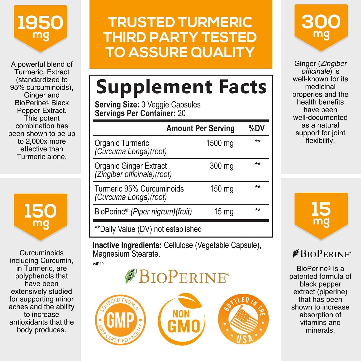 Turmeric Curcumin with BioPerine & Ginger 95% Standardized Curcuminoids
