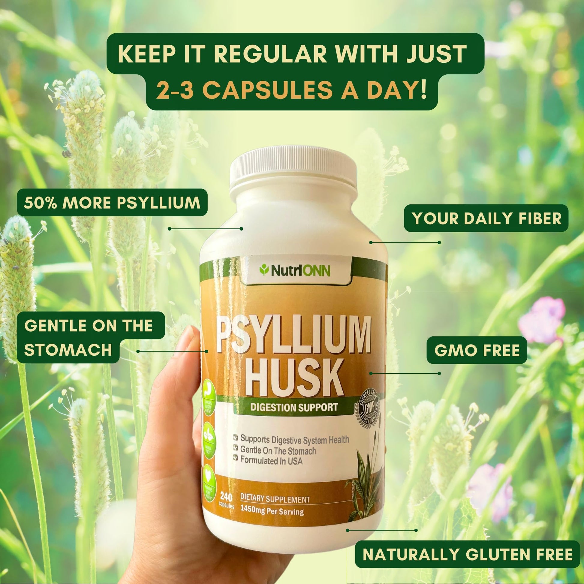 NutriONN PSYLLIUM Husk Capsules - 1450mg Per Serving - 240 Capsules - Double Strength NutriONN