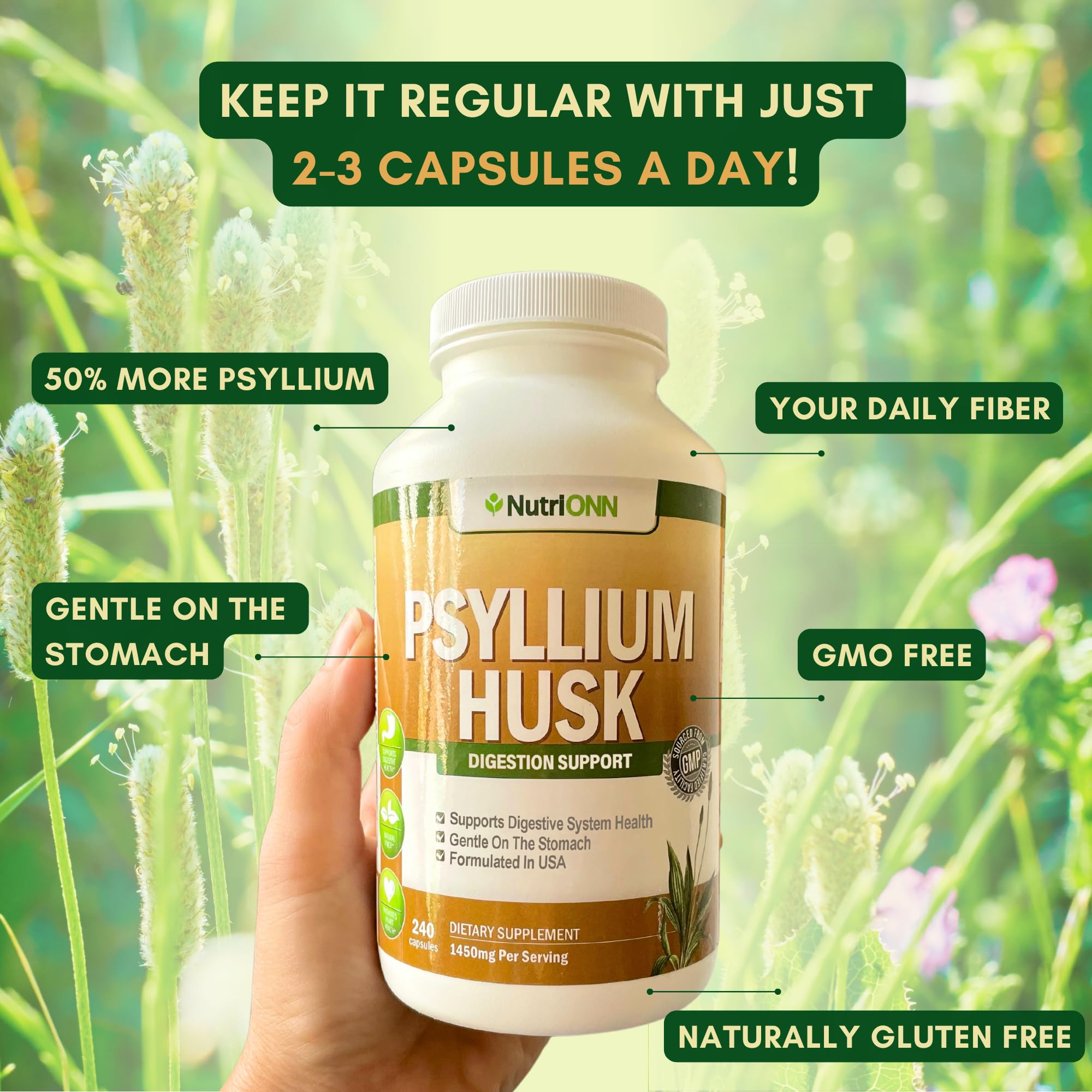NutriONN PSYLLIUM Husk Capsules - 1450mg Per Serving - 240 Capsules - Double Strength NutriONN