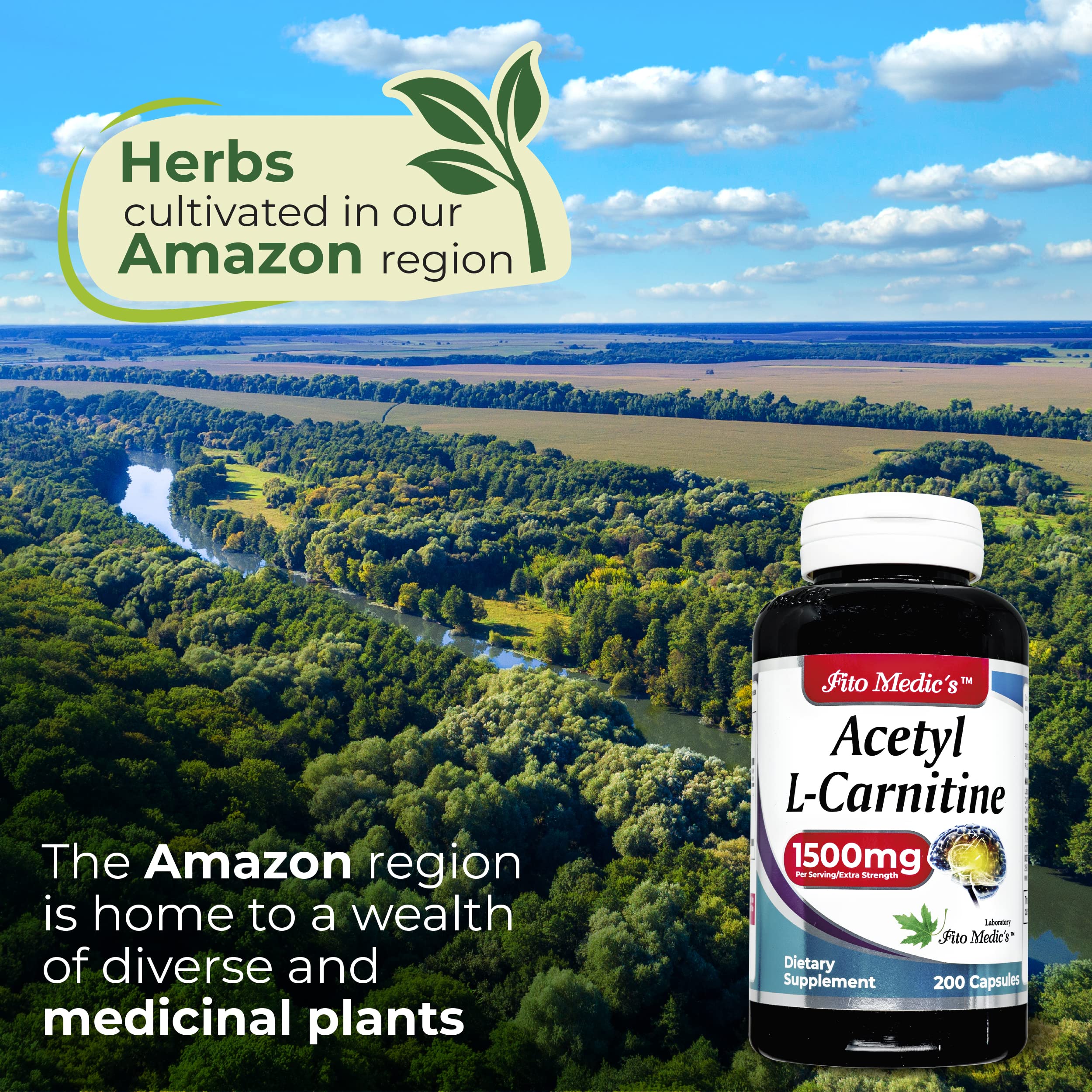 Lab - l carnitine - 1500 mg per Serving, 200 Capsules, l-carnitine - High Potency of - Acetyl