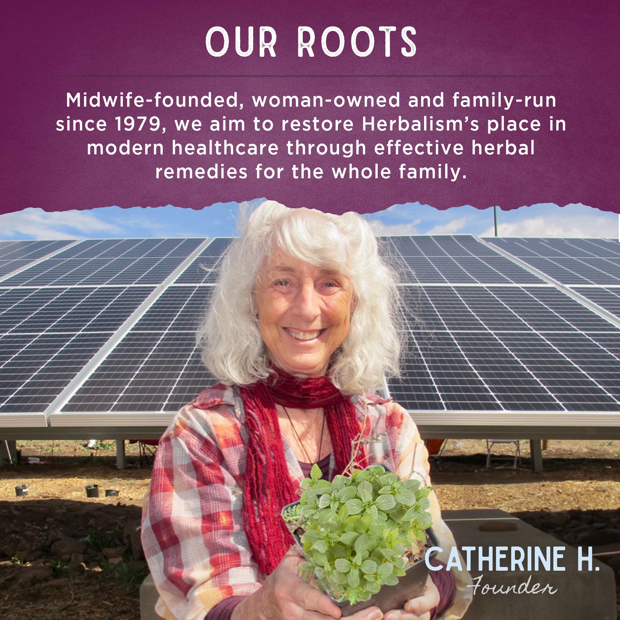 WishGarden Herbs Cycle Changes Herbal Menopause Support - Plant-Based Supplement w/Black Cohosh WishGarden