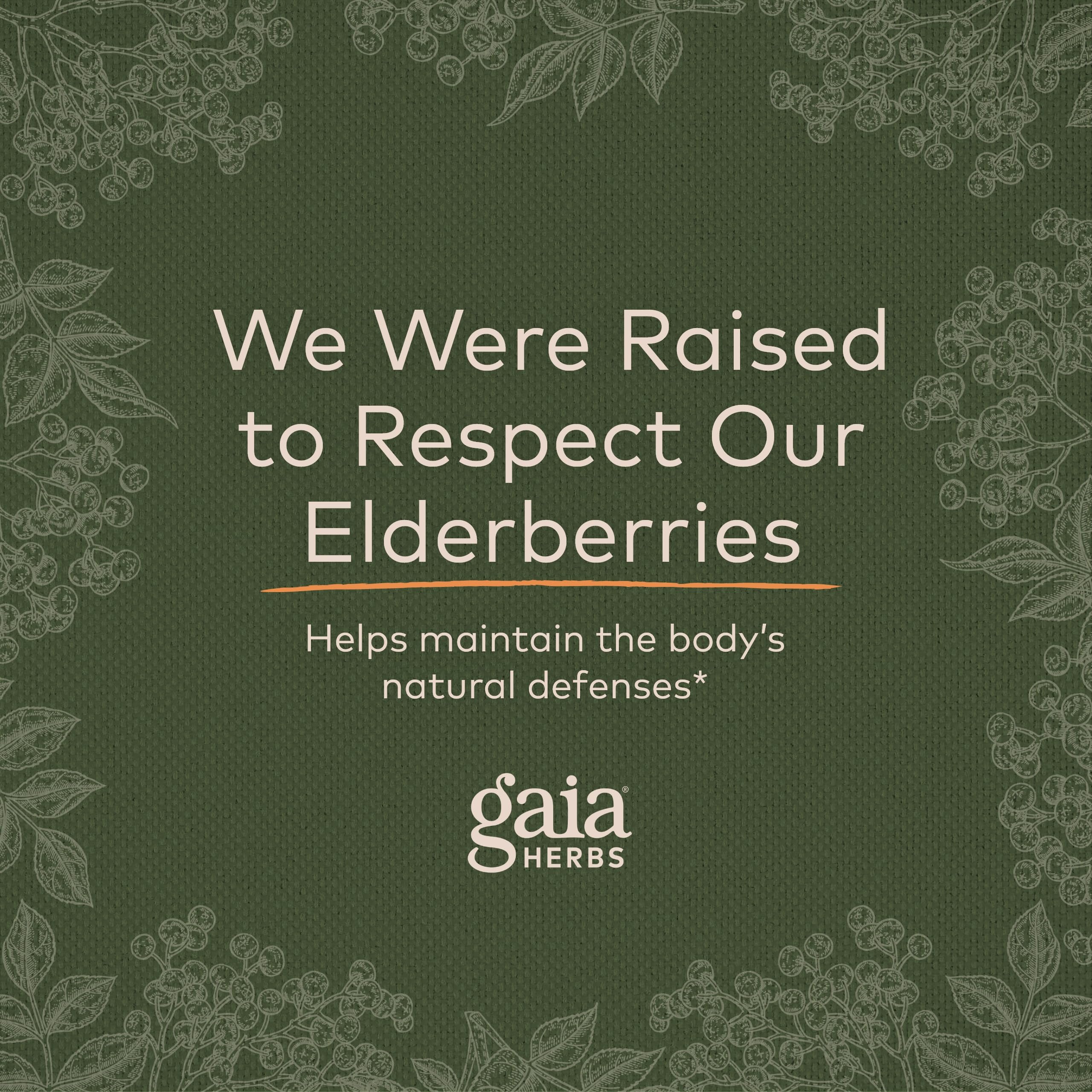 Gaia Herbs Black Elderberry (Sambucus Nigra) Extra Strength Gummies Gaia Herbs