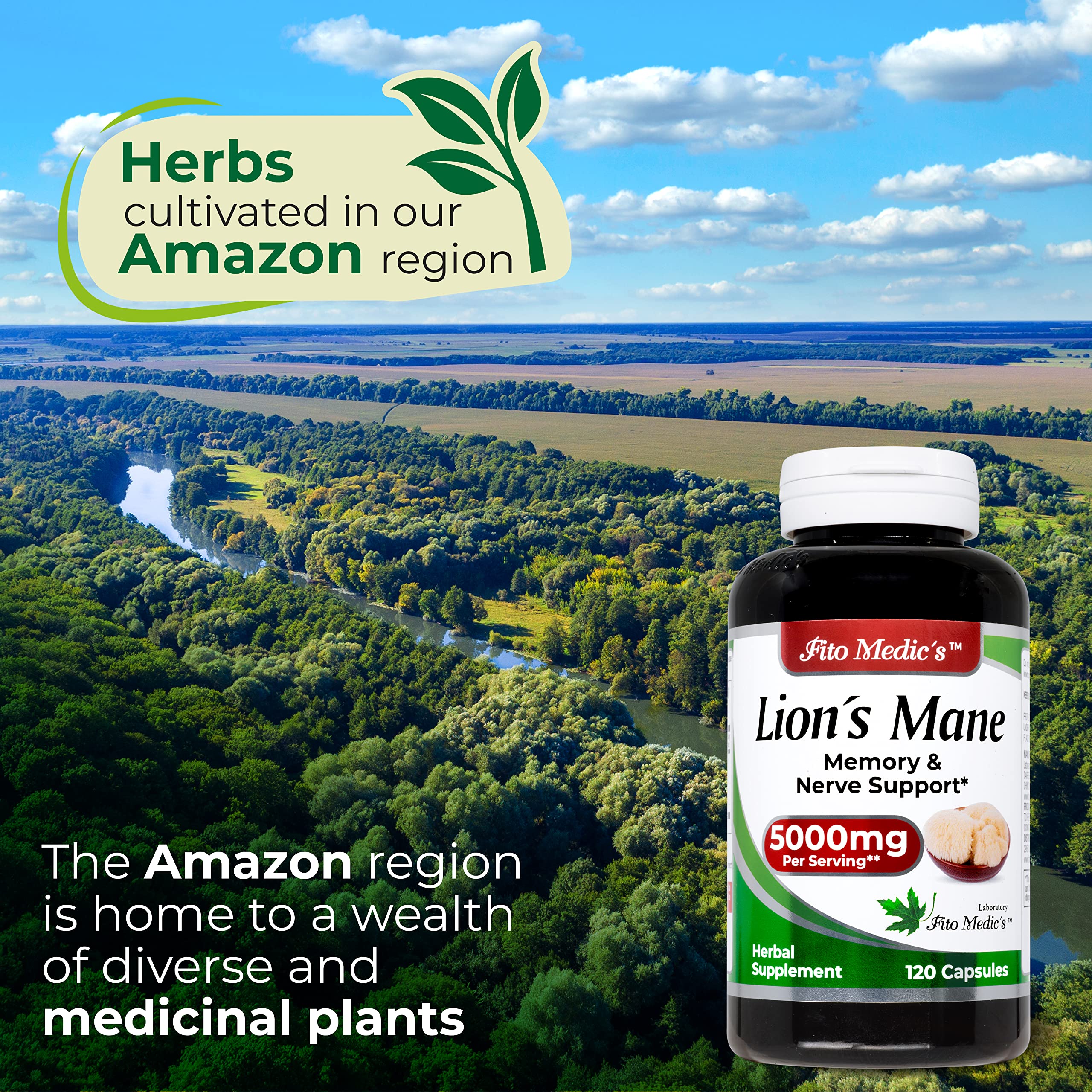 Lab | Lions Mane | 5000 mg per Serving | 120 Capsules | lions mane supplement | lions mane