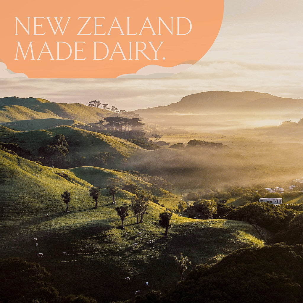 LUV&LIFE Prenatal Vitamin Supplement Powder Vanilla Flavored Contains Protein and Fiber