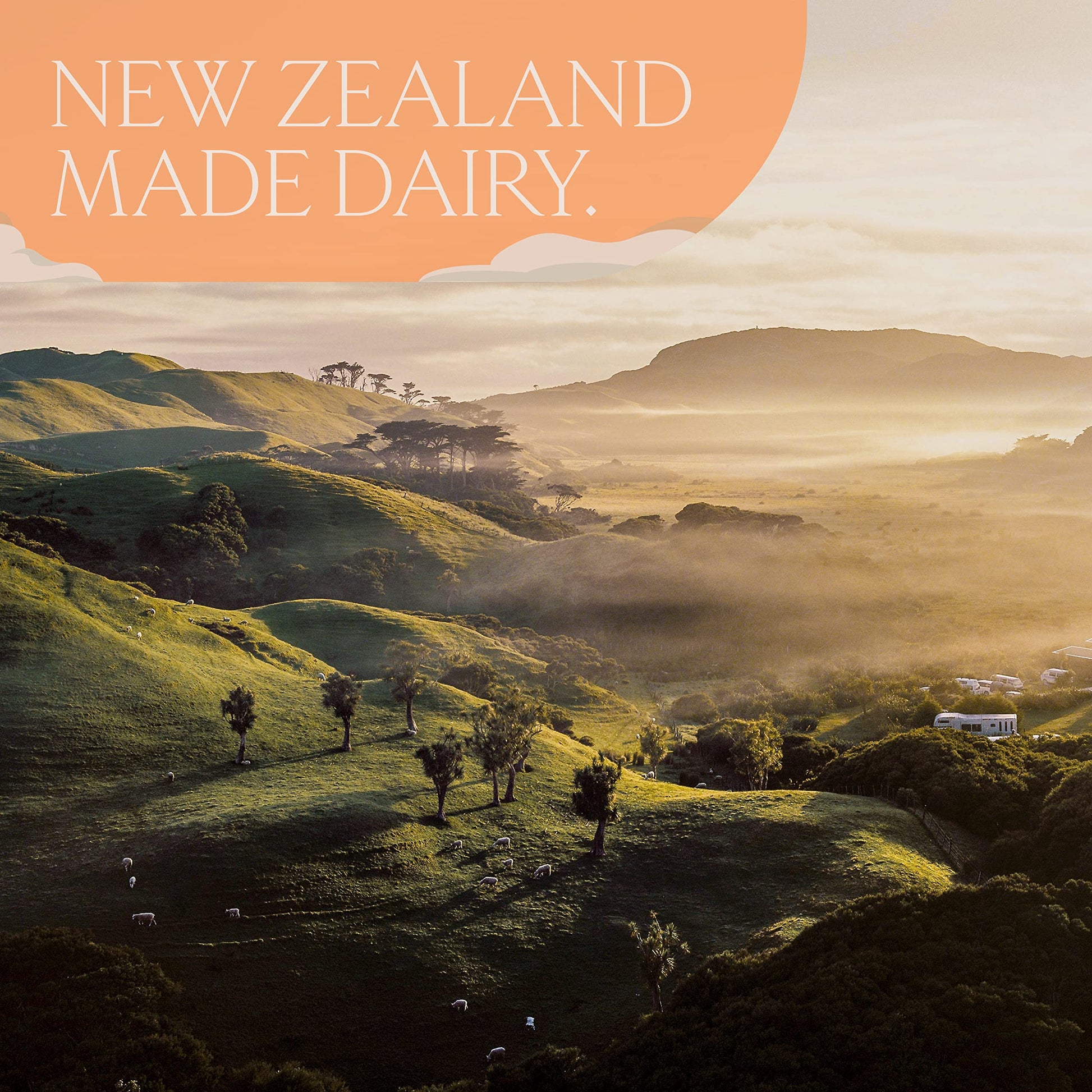 LUV&LIFE Prenatal Vitamin Supplement Powder Vanilla Flavored Contains Protein and Fiber LUV&LIFE