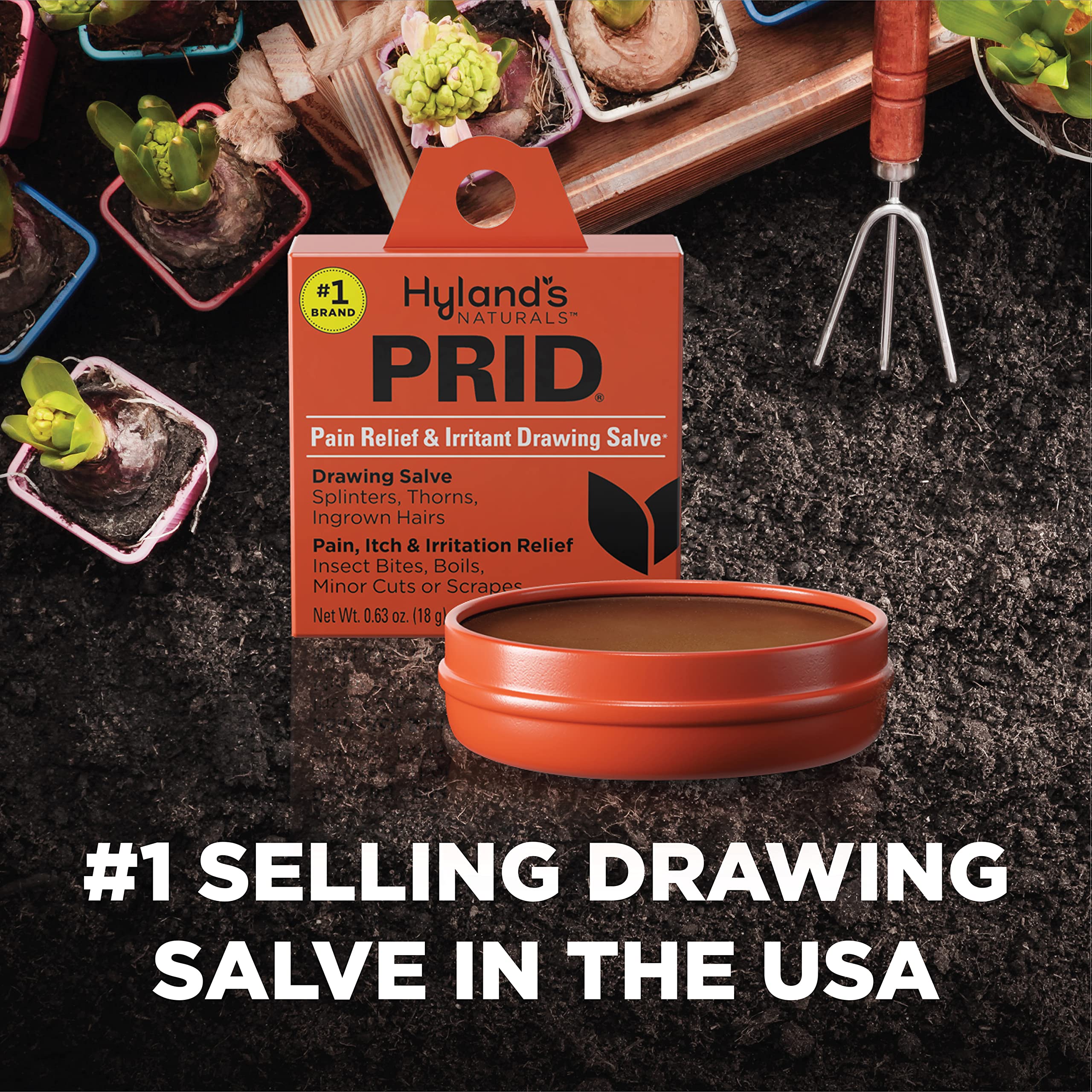 Hyland's PRID Drawing Salve Naturals (2 Pack) Hyland's