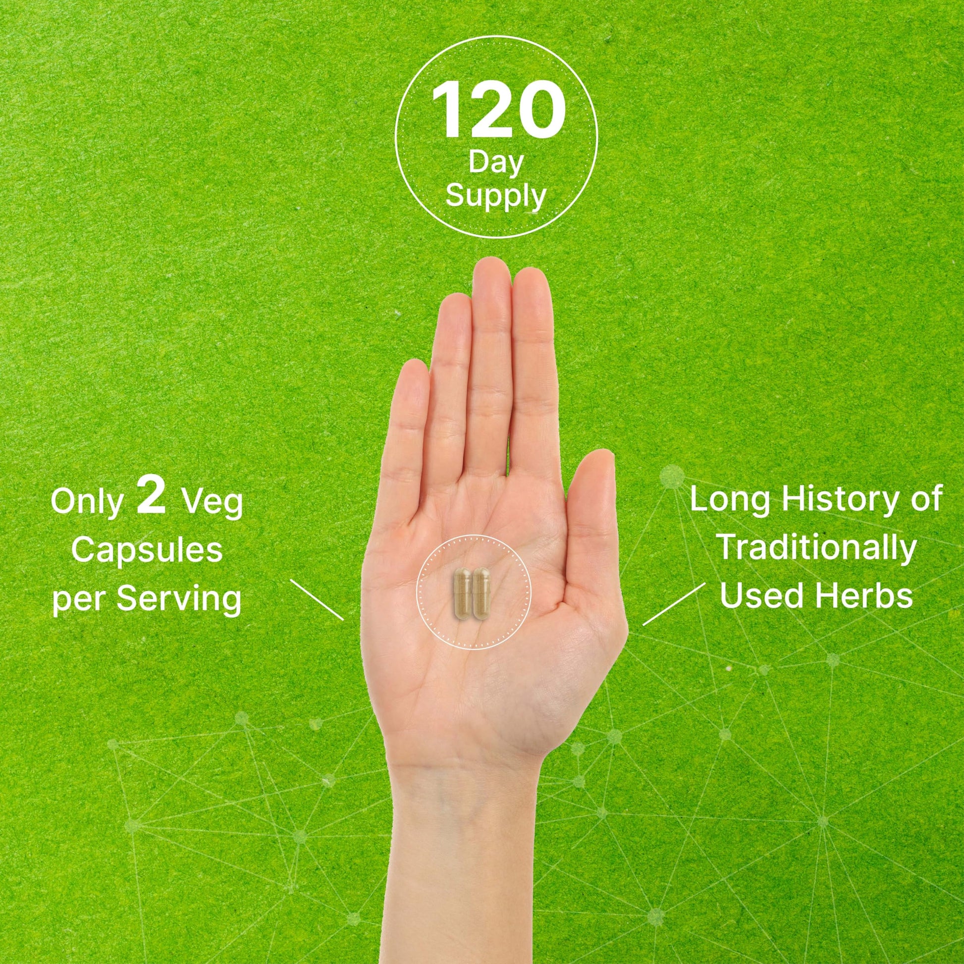 Vitex Supplement for Women – Vitex Chasteberry Supplement 1000mg Per Serving Plus Dong Quai Root DEAL SUPPLEMENT