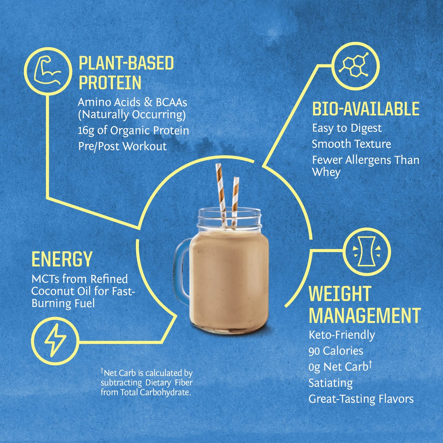 Vegan Organic Protein Powder Plant-based | BCAA Amino Acids Hemp Seed Soy