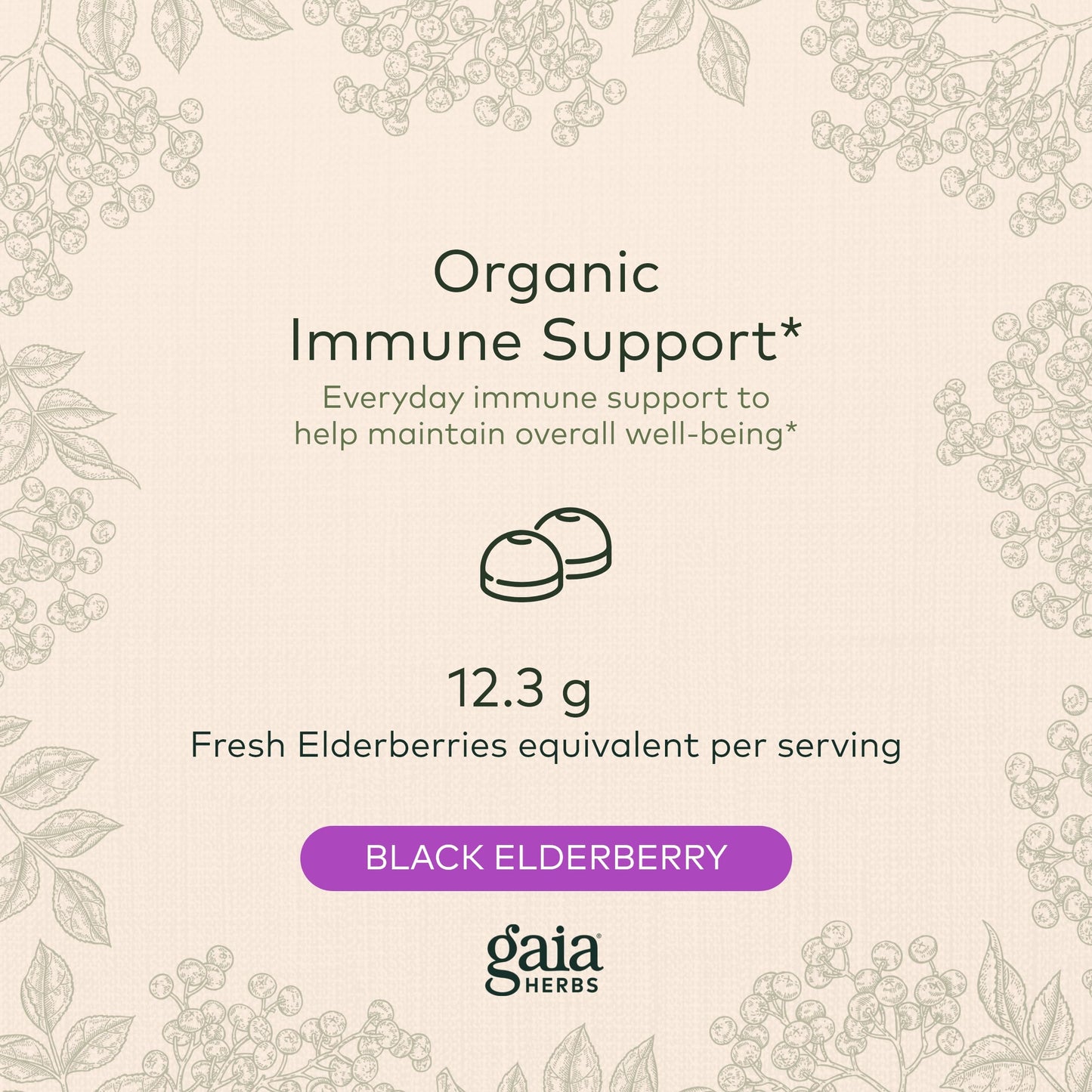 Gaia Herbs Black Elderberry (Sambucus Nigra) Extra Strength Gummies