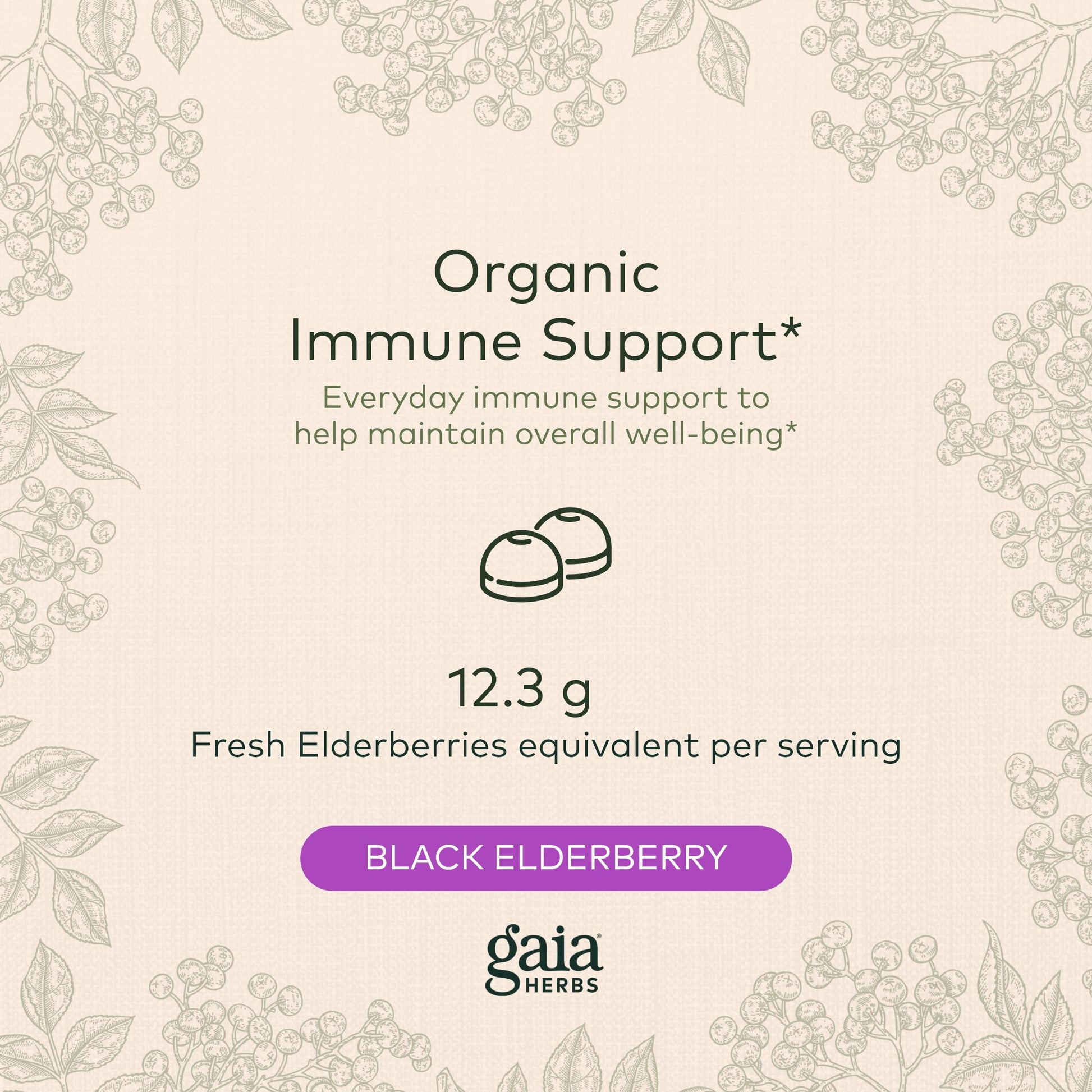 Gaia Herbs Black Elderberry (Sambucus Nigra) Extra Strength Gummies Gaia Herbs