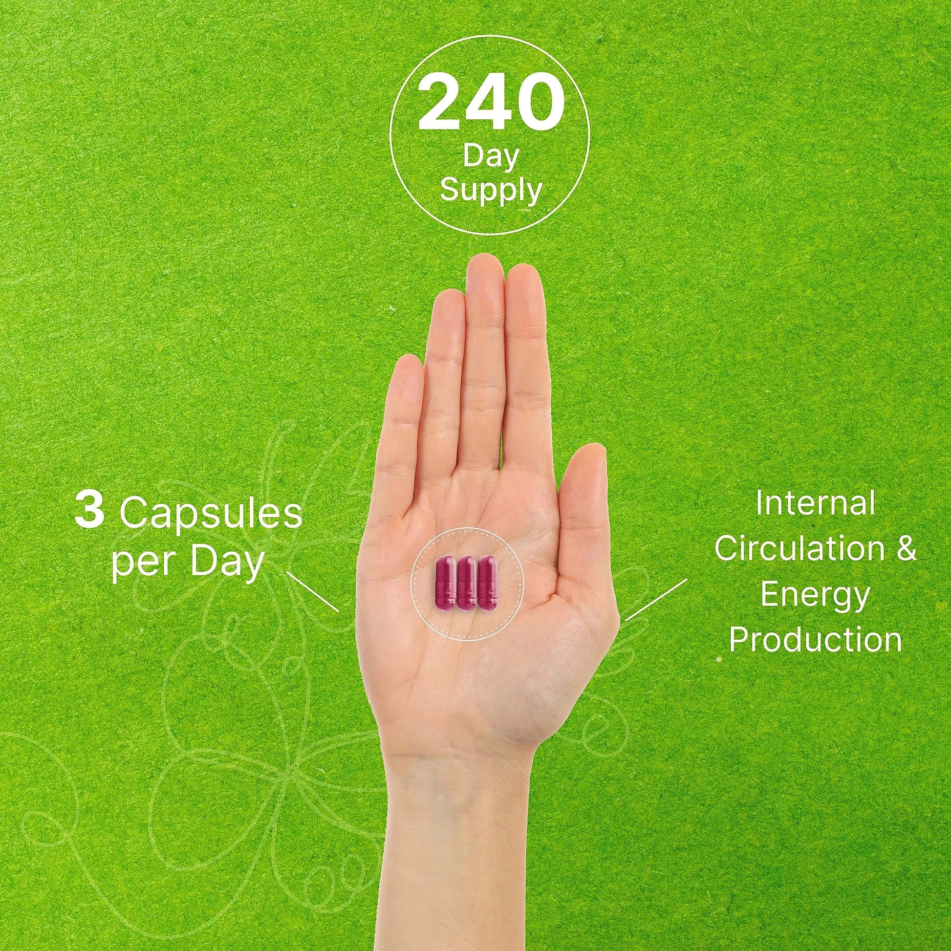 Two Pack Beet Root Capsules 30000mg Per Serving, 720 Counts | with Black Pepper Extract – Enhanced Absorption, Pure Beet Root Powder Source – Nitric Oxide Supplements