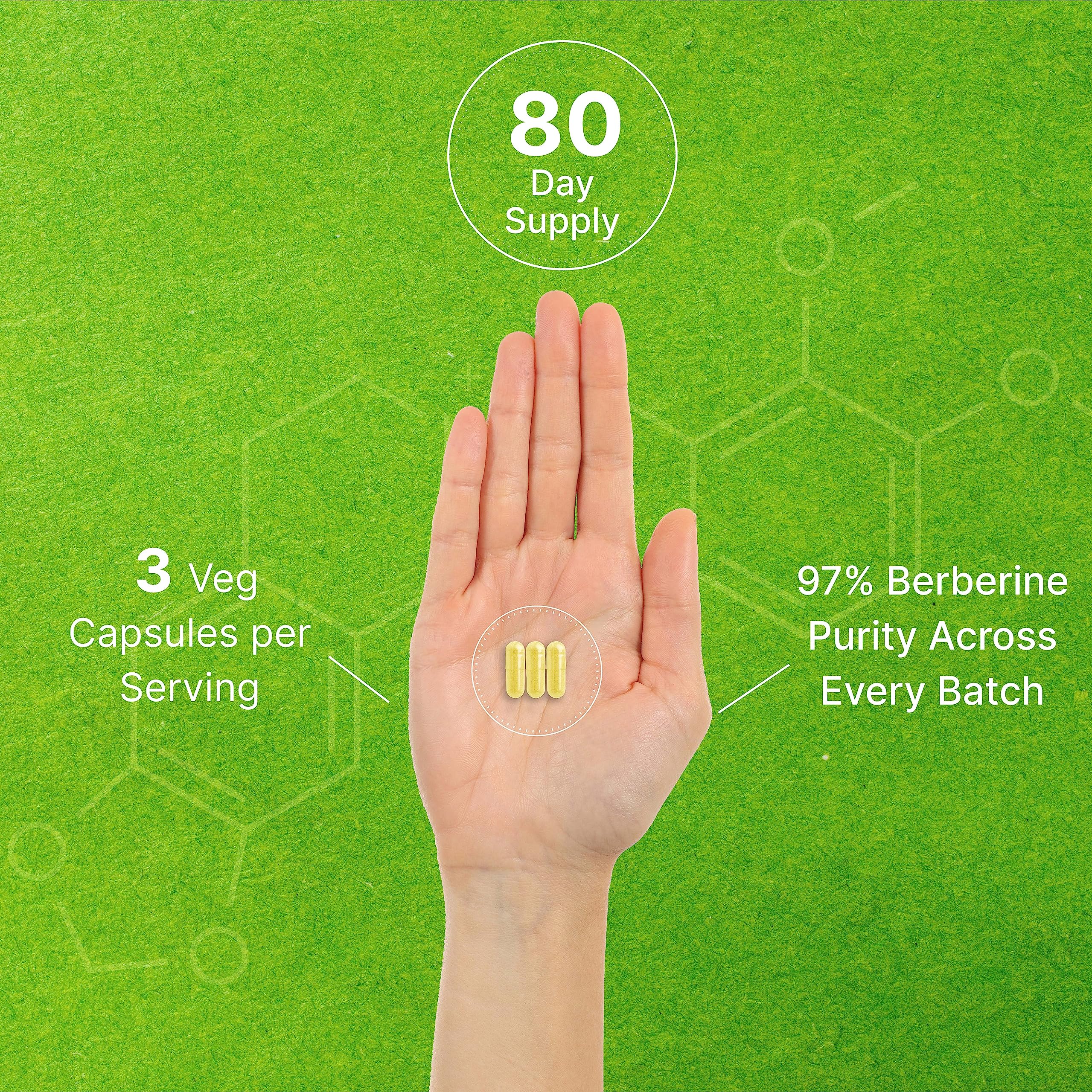 Berberine Supplement 500mg Per Capsule (1500mg Per Serving) | 240 Veggie Capsules DEAL SUPPLEMENT